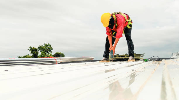 Best Skylights  in Glyndon, MN