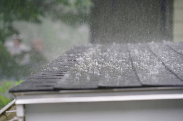Best Roof Maintenance and Cleaning  in Glyndon, MN