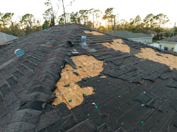 Best Rubber Roofing (EPDM, TPO)  in Glyndon, MN