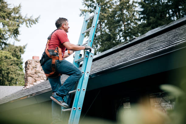 Best Solar Panel Roofing Installation  in Glyndon, MN