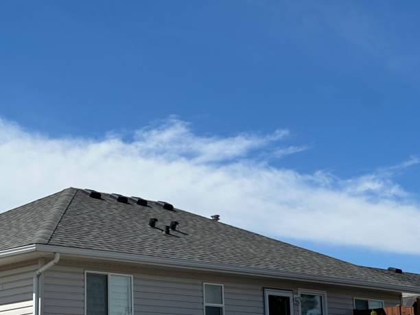 Skylights in Glyndon, MN